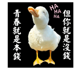 627670509