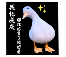 627670510