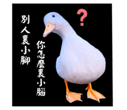 627670511