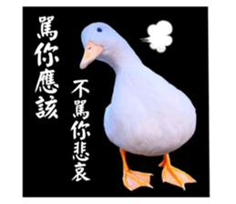 627670513