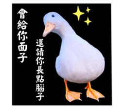 627670514