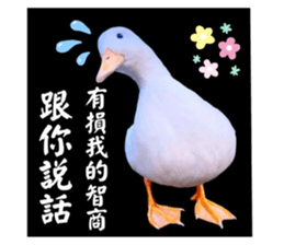 627670515