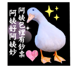 627670517