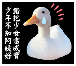 627670519
