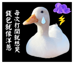 627670520