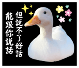 627670525