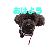 627671822