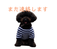 627671828