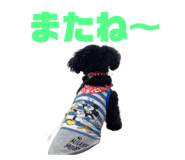 627671829