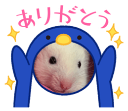 627676901