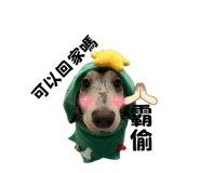 627681843