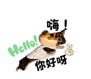 627681848