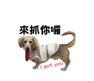 627681849