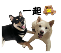627687604