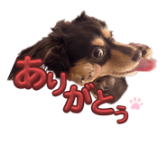 627699239
