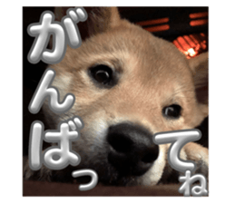 627735907