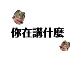 627744116