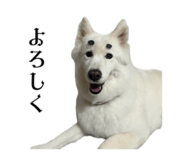627805020