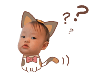 627818891