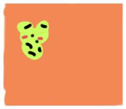 627820429
