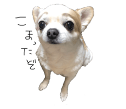 627838955