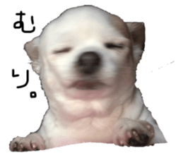 627838956