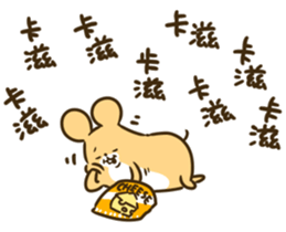 627884718