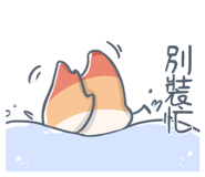 627904356