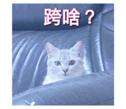 627922327