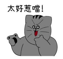 627932255