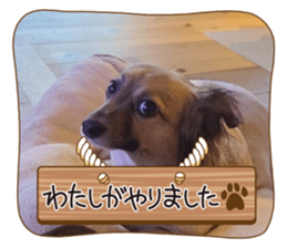627934169