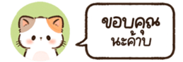 627960202