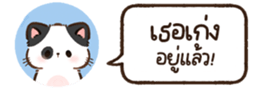 627960213
