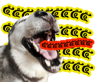 627970265