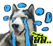 627970269