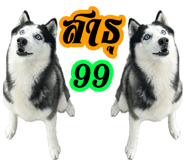 627970271