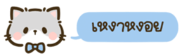627984081