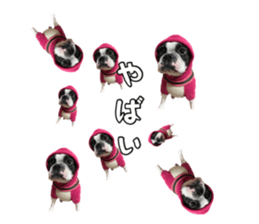 627994917