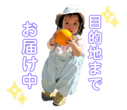 628002049