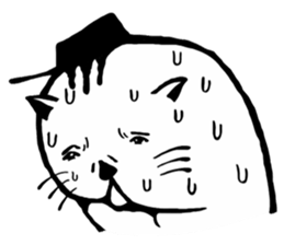 6280336