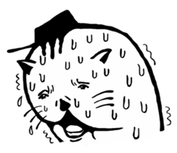 6280337