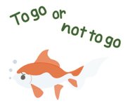 62808089