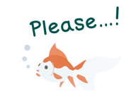 62808099