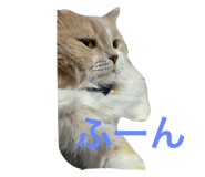 628082495