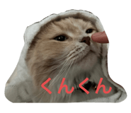 628082497