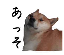 628108539
