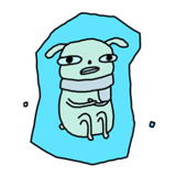 628124097
