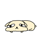 628124098