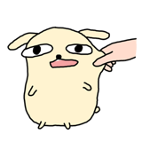 628124100