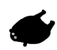 628161201